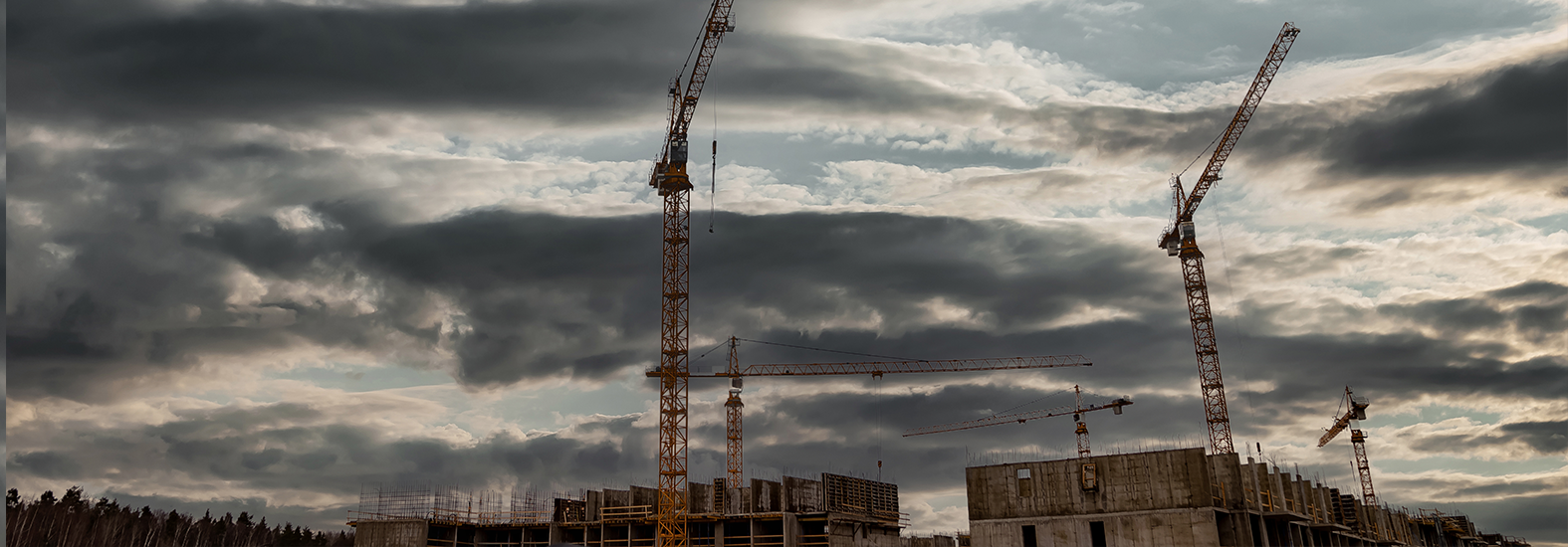 Building Through the Storm: The Resilience of Vascroft