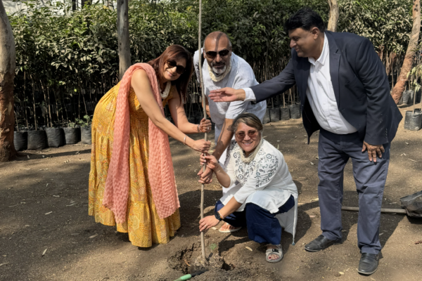 Screenshot 2026-03-12 at 11.14.40